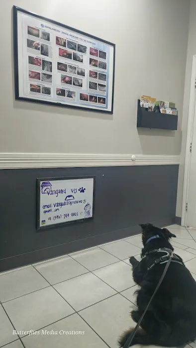 Vanguard Veterinary Clinic - Cypress Picture 4