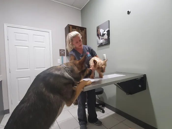 Vanguard Veterinary Clinic - Cypress Picture 7