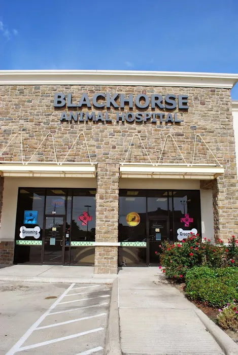 Blackhorse Animal Hospital Picture 5