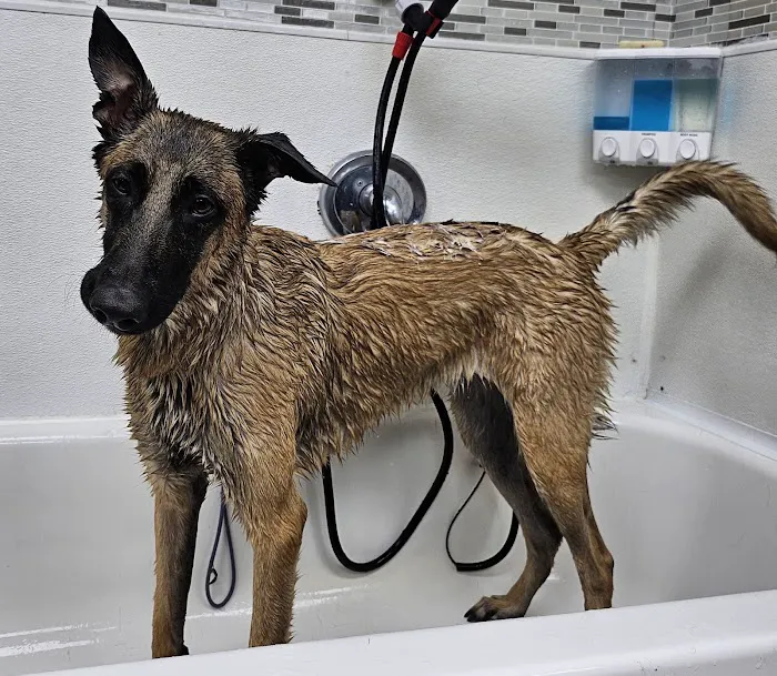 Oak Ridge Animal Clinic Picture 3