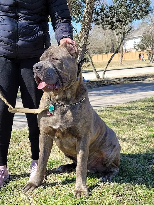 Oak Ridge Animal Clinic Picture 8