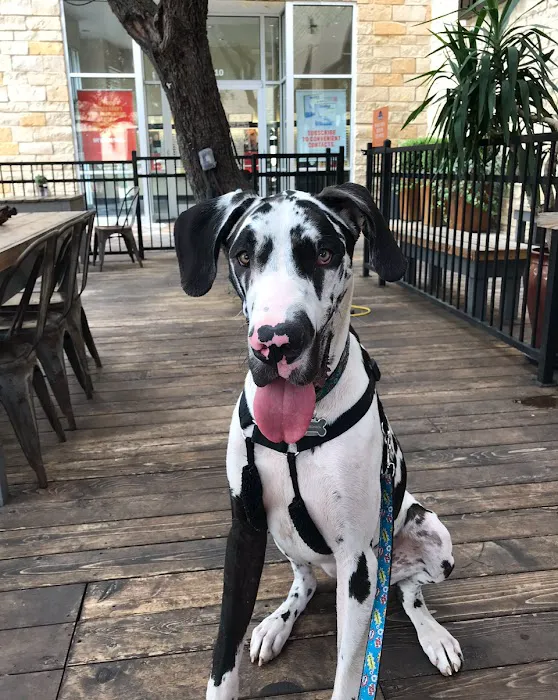 The Woodlands Animal Cancer and Referral Center Picture 10