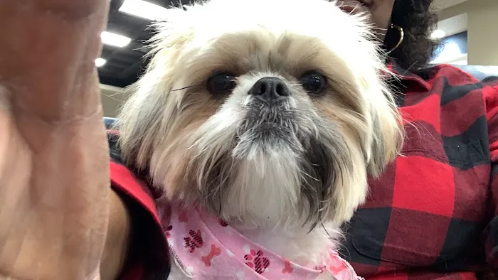 Banfield Pet Hospital Picture 5