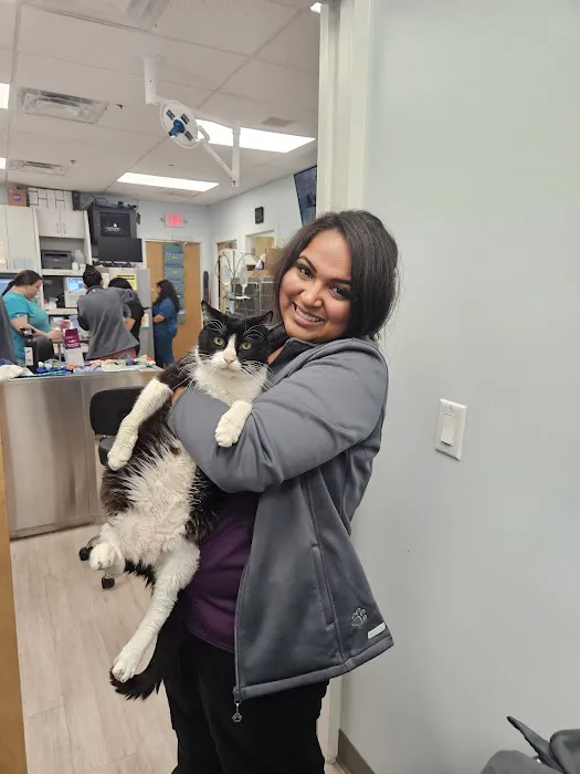 Harmony Pet Clinic Picture 1