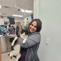 Harmony Pet Clinic ico