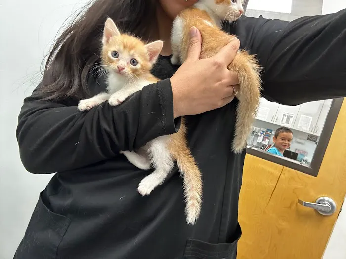 Harmony Pet Clinic Picture 9