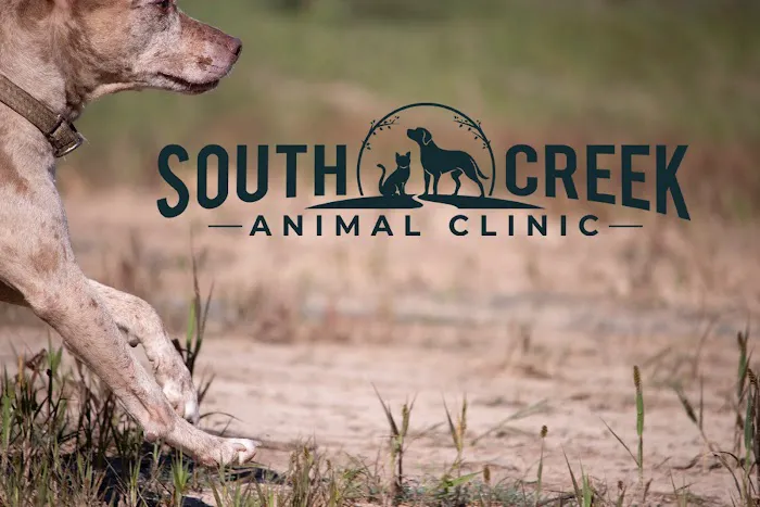 South Creek Animal Clinic Picture 3