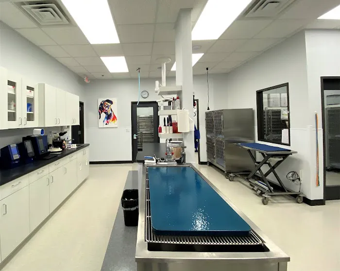 South Creek Animal Clinic Picture 1