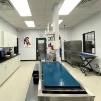 South Creek Animal Clinic ico