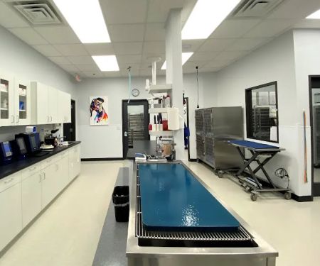 South Creek Animal Clinic