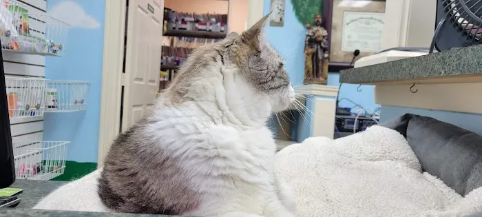 Angel's Pet Hospital Picture 9