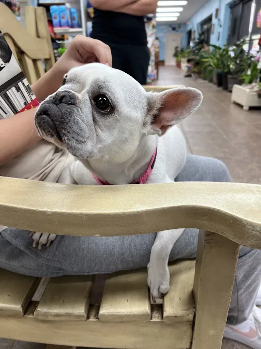 Angel's Pet Hospital Picture 1