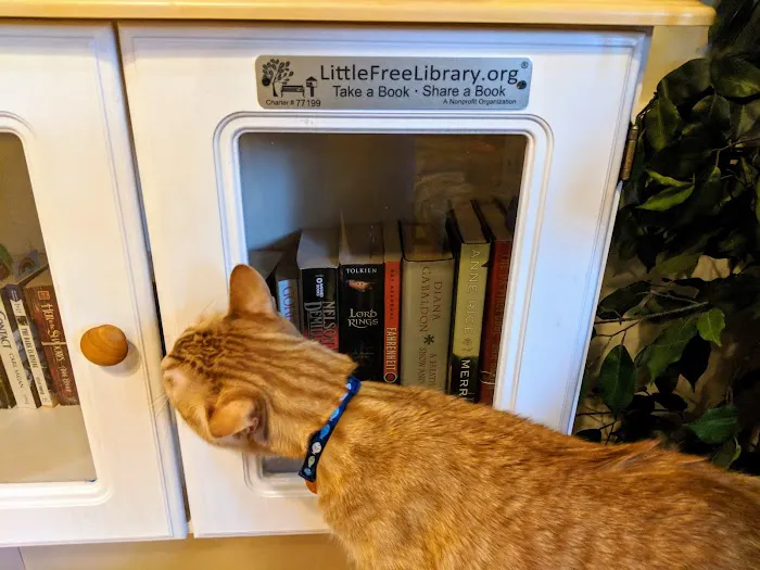 Just Cats Veterinary Services Picture 4