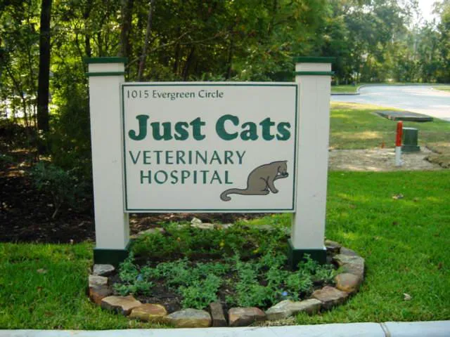 Just Cats Veterinary Services Picture 2