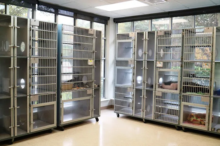 Just Cats Veterinary Services Picture 8