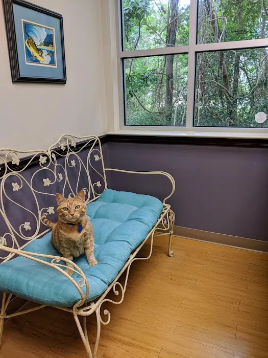Just Cats Veterinary Services Picture 10