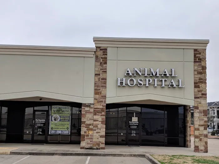 Northpointe Animal Hospital Picture 6