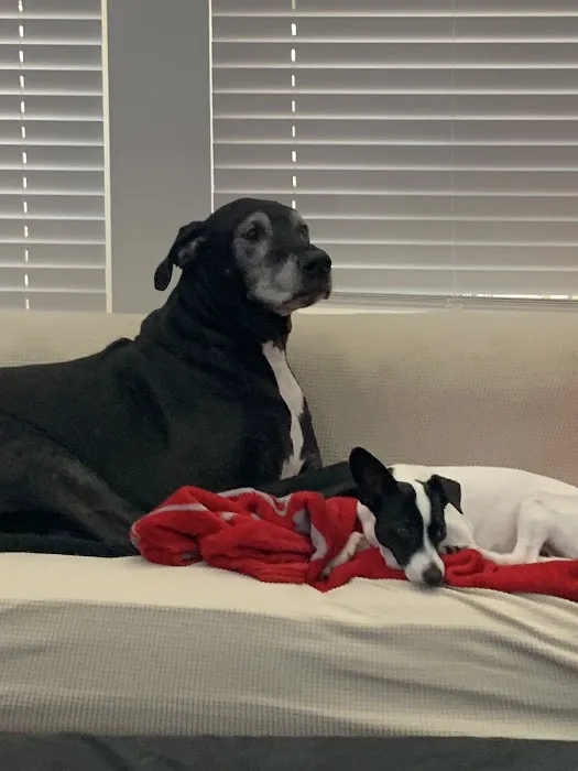 Porter Animal Hospital Picture 1
