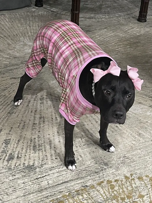 Porter Animal Hospital Picture 7