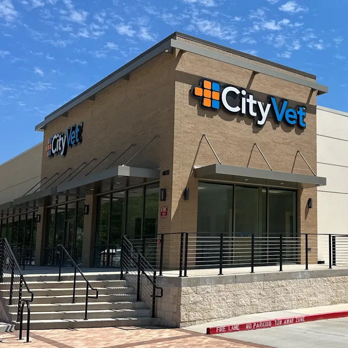 CityVet | Kingwood Veterinary Clinic & Urgent Care Picture 10