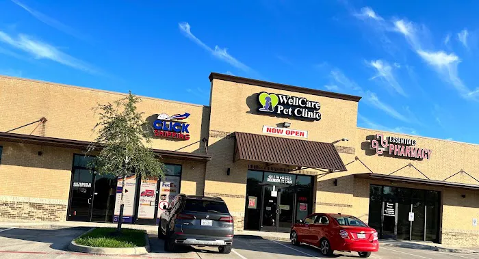 WellCare Pet Clinic Picture 6