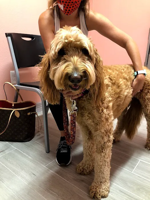 WellCare Pet Clinic Picture 10