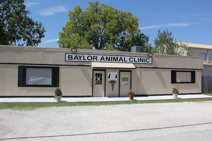 Baylor Animal Clinic Picture 1