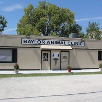 Baylor Animal Clinic ico