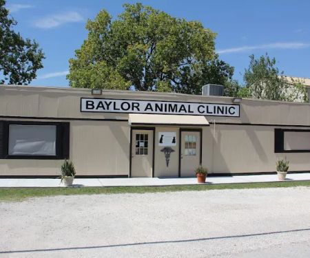 Baylor Animal Clinic