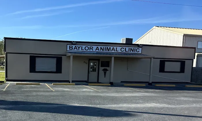 Baylor Animal Clinic Picture 2