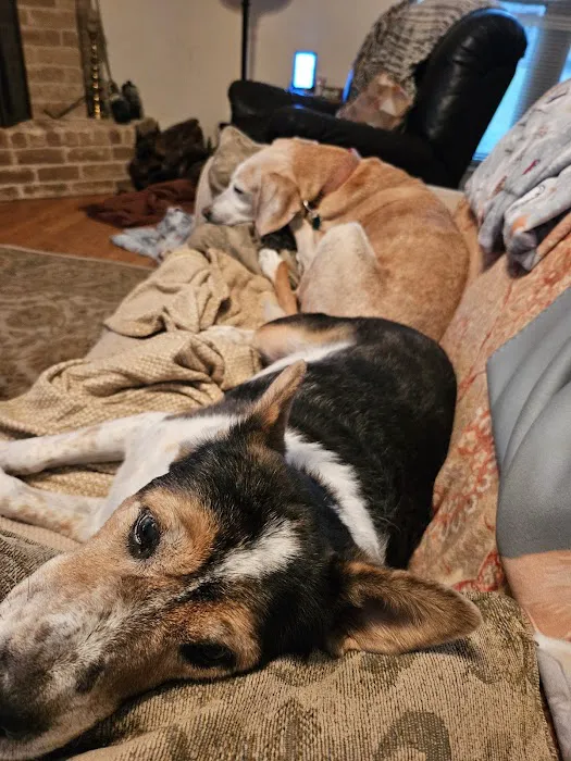 Loving Care Pet Hospital Picture 9