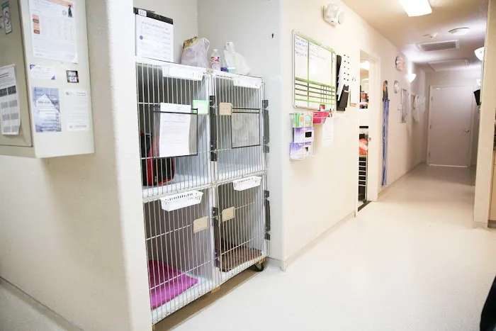 Loving Care Pet Hospital Picture 4