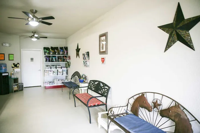 Loving Care Pet Hospital Picture 5