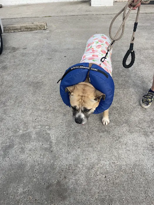 The Fe Animal Hospital Picture 8