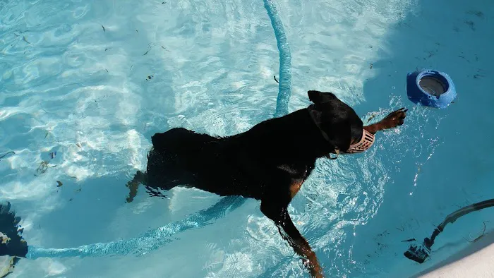 The Fe Animal Hospital Picture 1