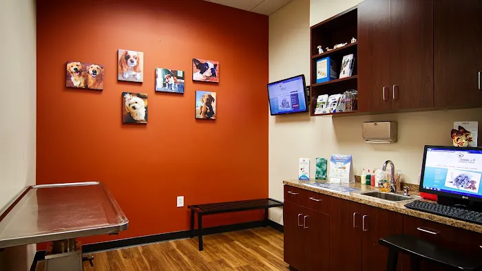 Sienna at 6 Veterinary Hospital Picture 8