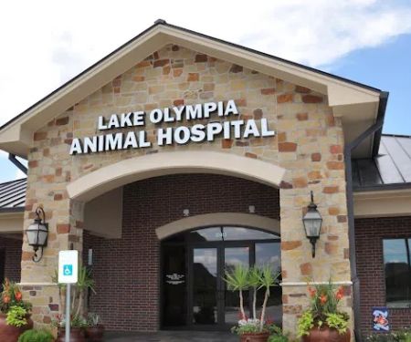 Lake Olympia Animal Hospital