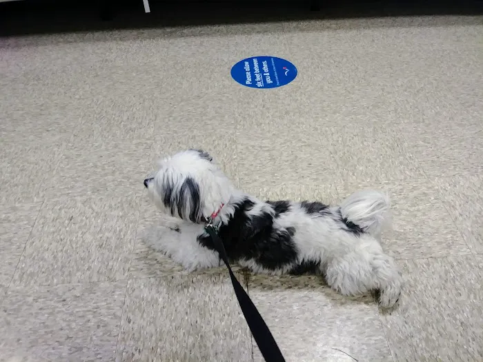 Banfield Pet Hospital Picture 9
