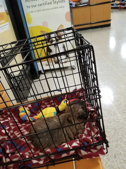 Banfield Pet Hospital Picture 7