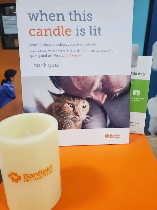 Banfield Pet Hospital Picture 8