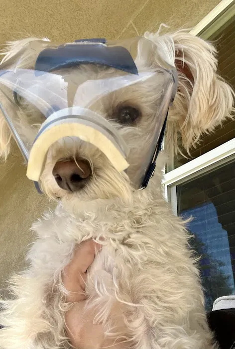 Animal Eye Center Picture 8