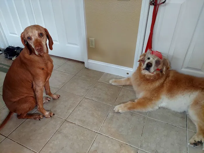 Animal Eye Center Picture 5