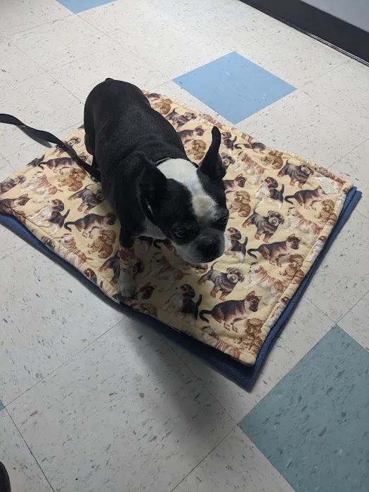 Rocklin Road Animal Hospital Picture 9