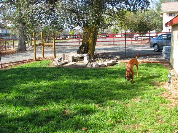 Rocklin Road Animal Hospital Picture 5