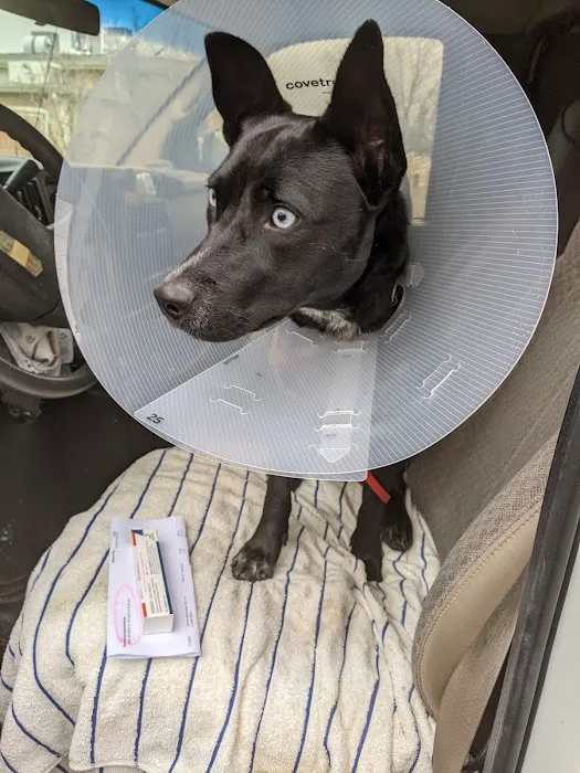Rocklin Road Animal Hospital Picture 1