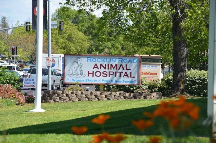 Rocklin Road Animal Hospital Picture 3