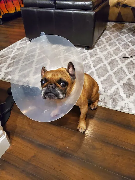 Blue Ravine Animal Hospital Picture 10