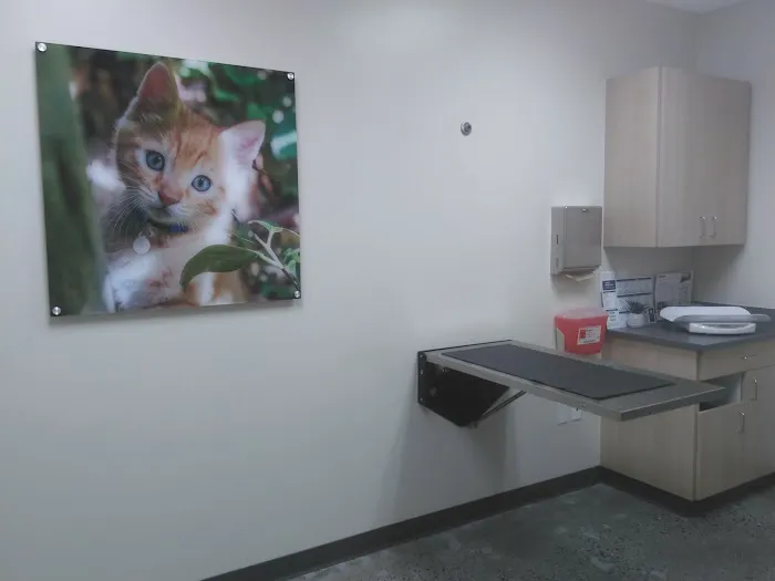Vetco Total Care Animal Hospital Picture 8