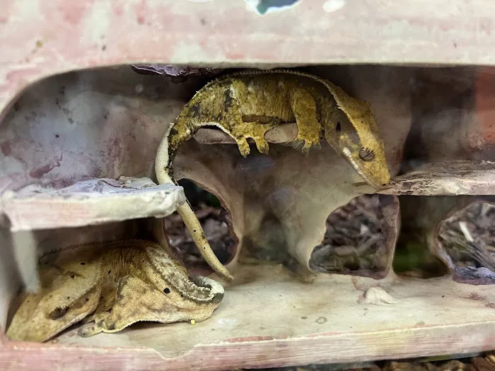 Vetco Total Care Animal Hospital Picture 1