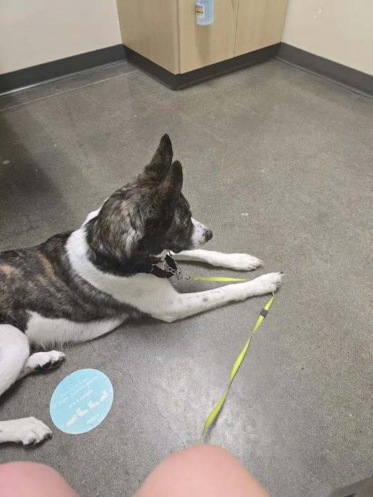 Vetco Total Care Animal Hospital Picture 9
